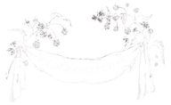 Shop Wilder Collective