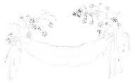 Shop Wilder Collective
